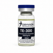 TE 300